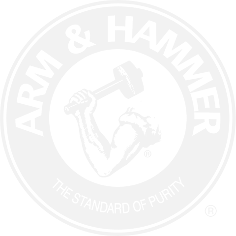 Arm-and-Hammer